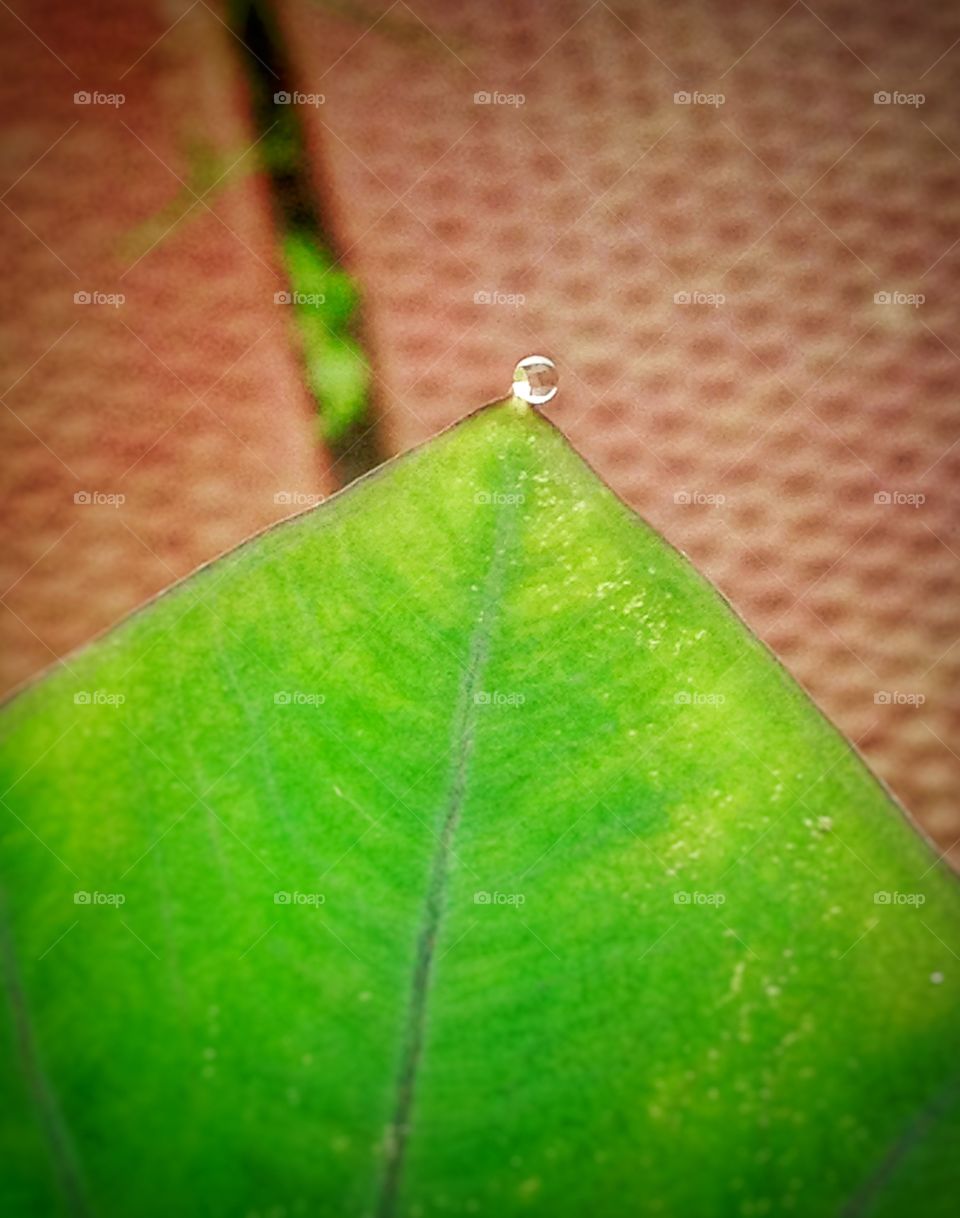 Raindrop. A floating droplet after a rain...