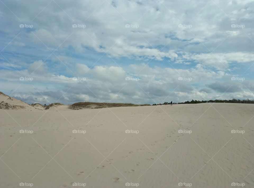 Sand, Landscape, Beach, Water, Desert