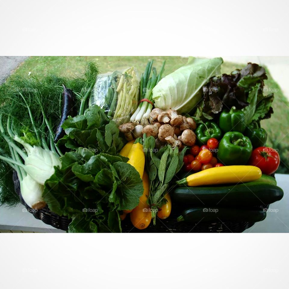 High angle view of organic vegetable