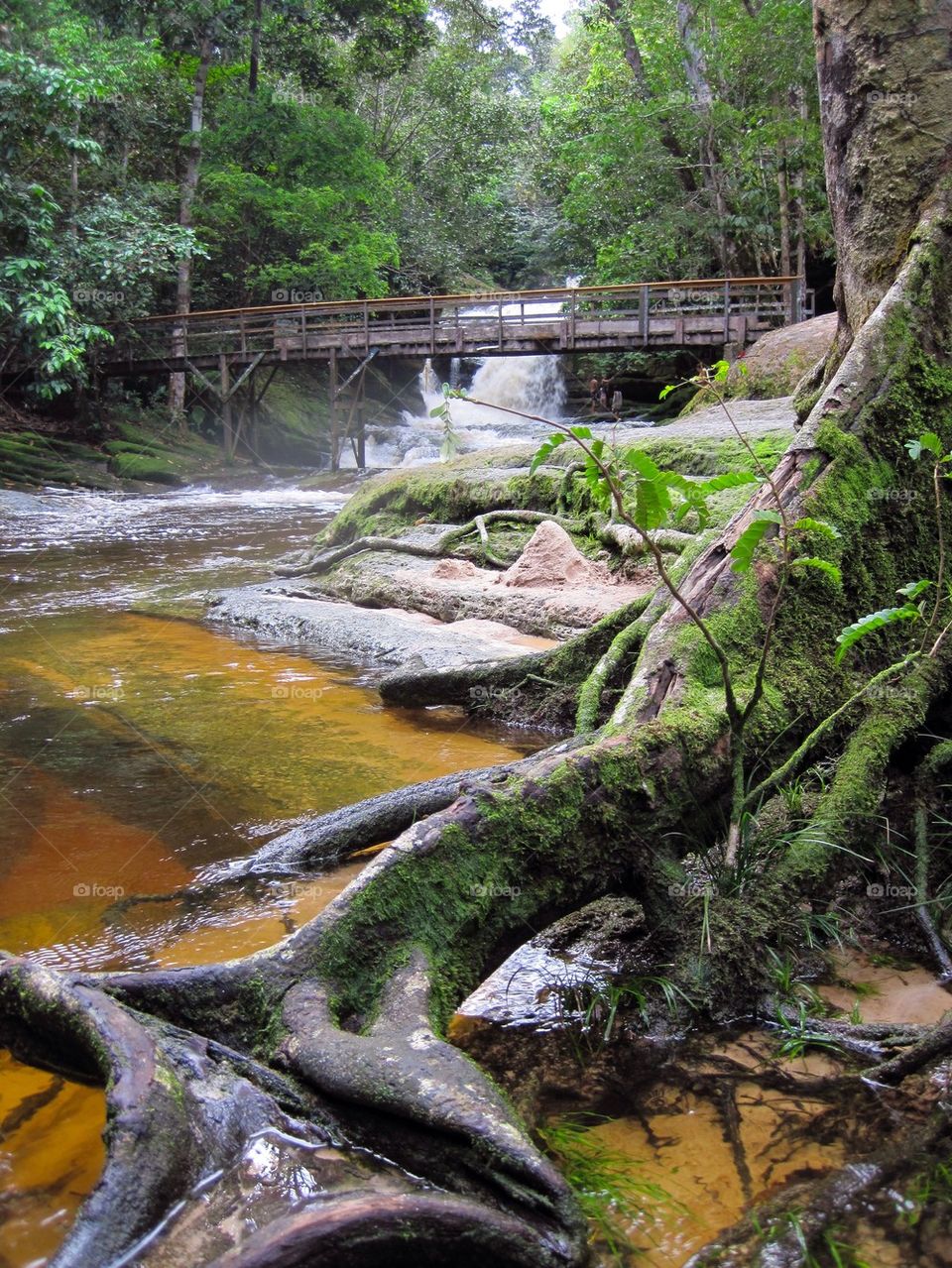 Waterfalls in the amazon 