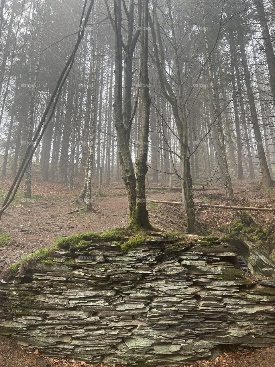 Wandern in der Eifel