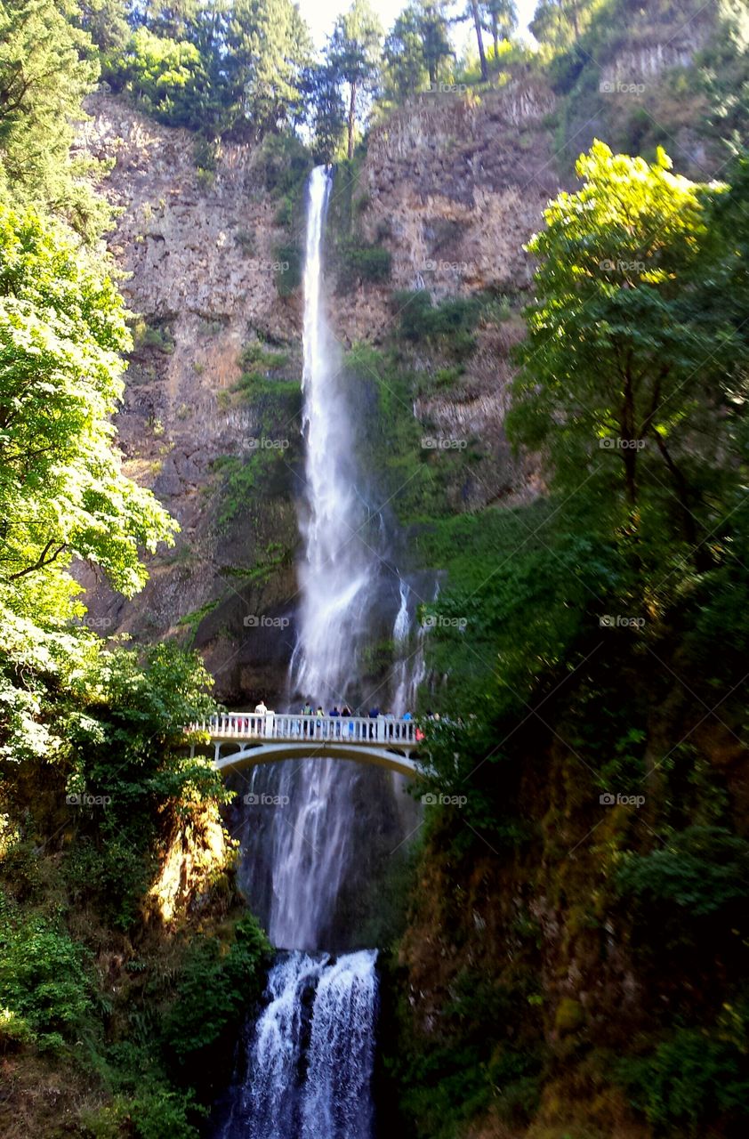 Oregon waterfall
