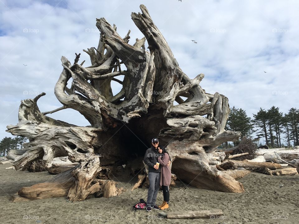 Photo op in front of a hollowed out tree on the beach. 