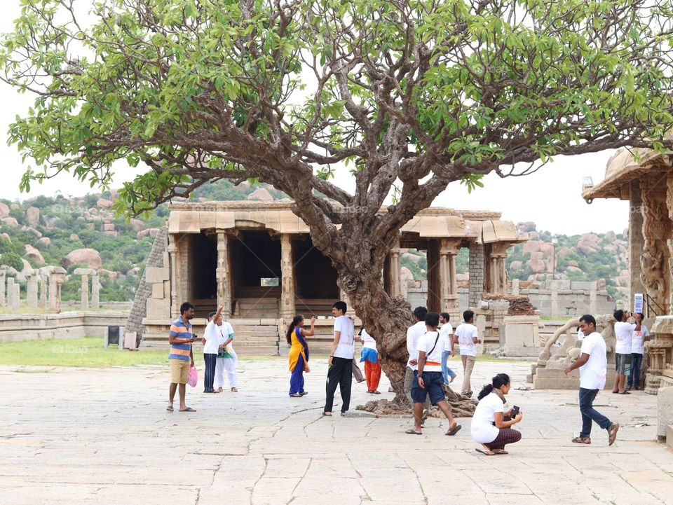 People, Tree, Group, Street, Travel