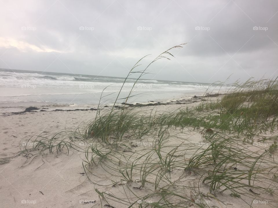 Beach, Sea, Water, Seashore, Sand