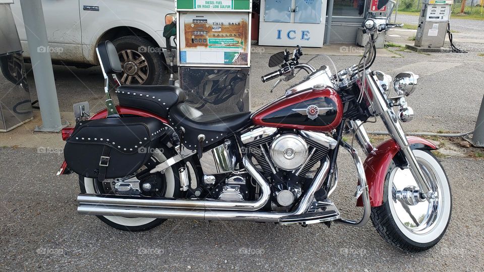 1999 Harley Davidson Motorcycle - Live to Ride-Ride  to Live