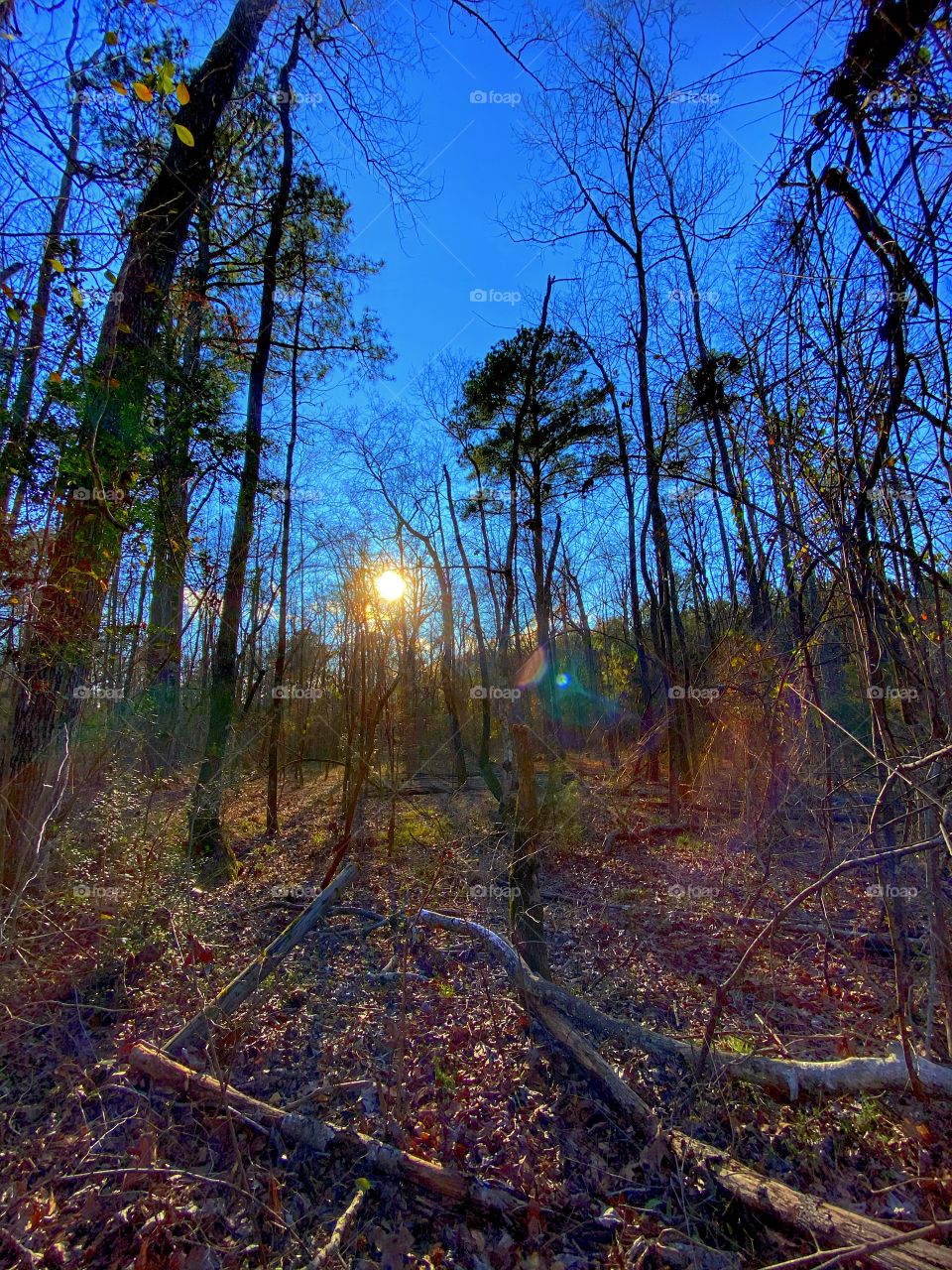 Late Afternoon Sunset 