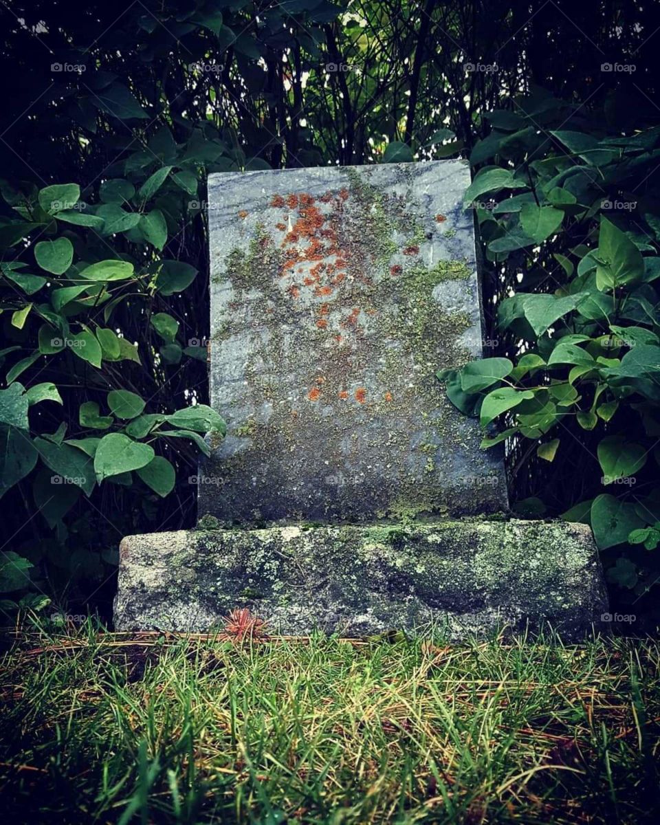 Sir Here For A Moment, With Us.