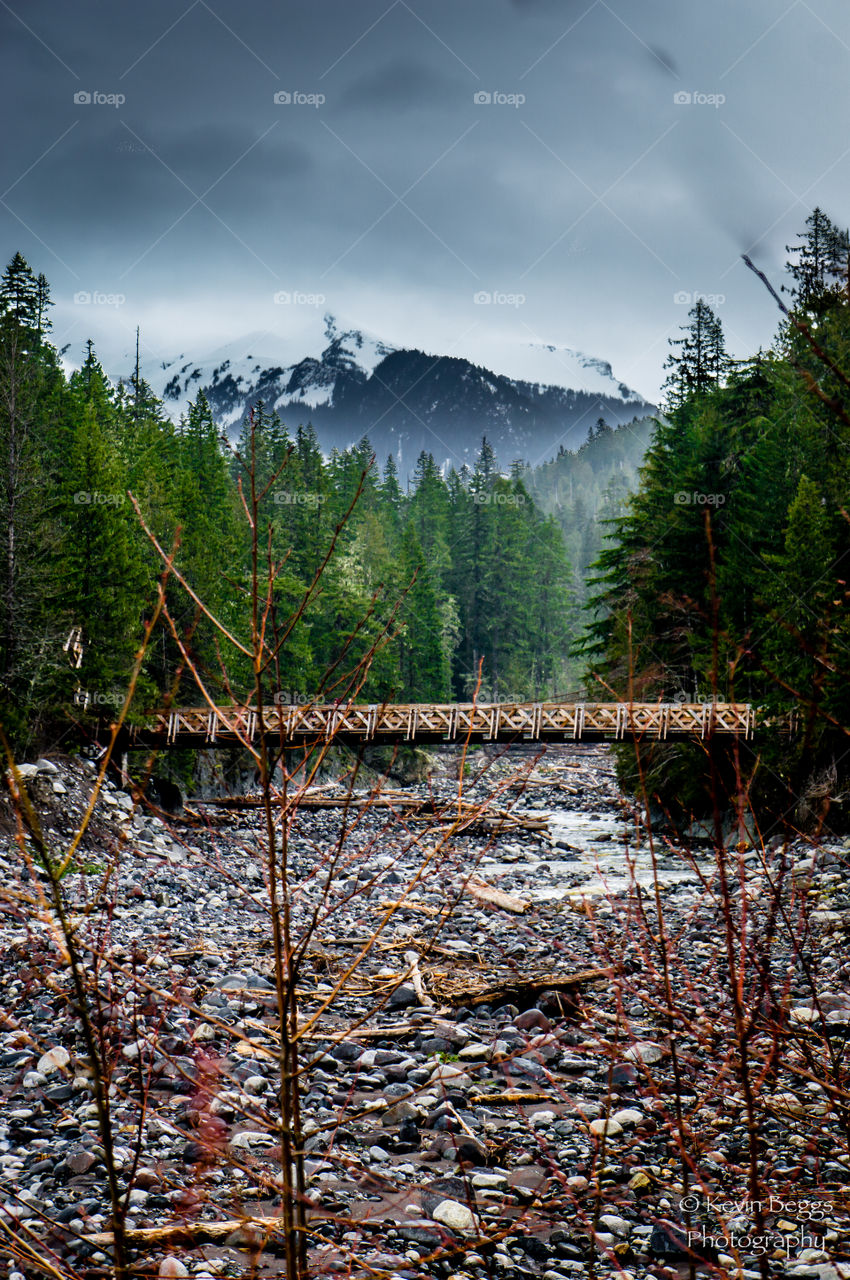 Rainier Bridge