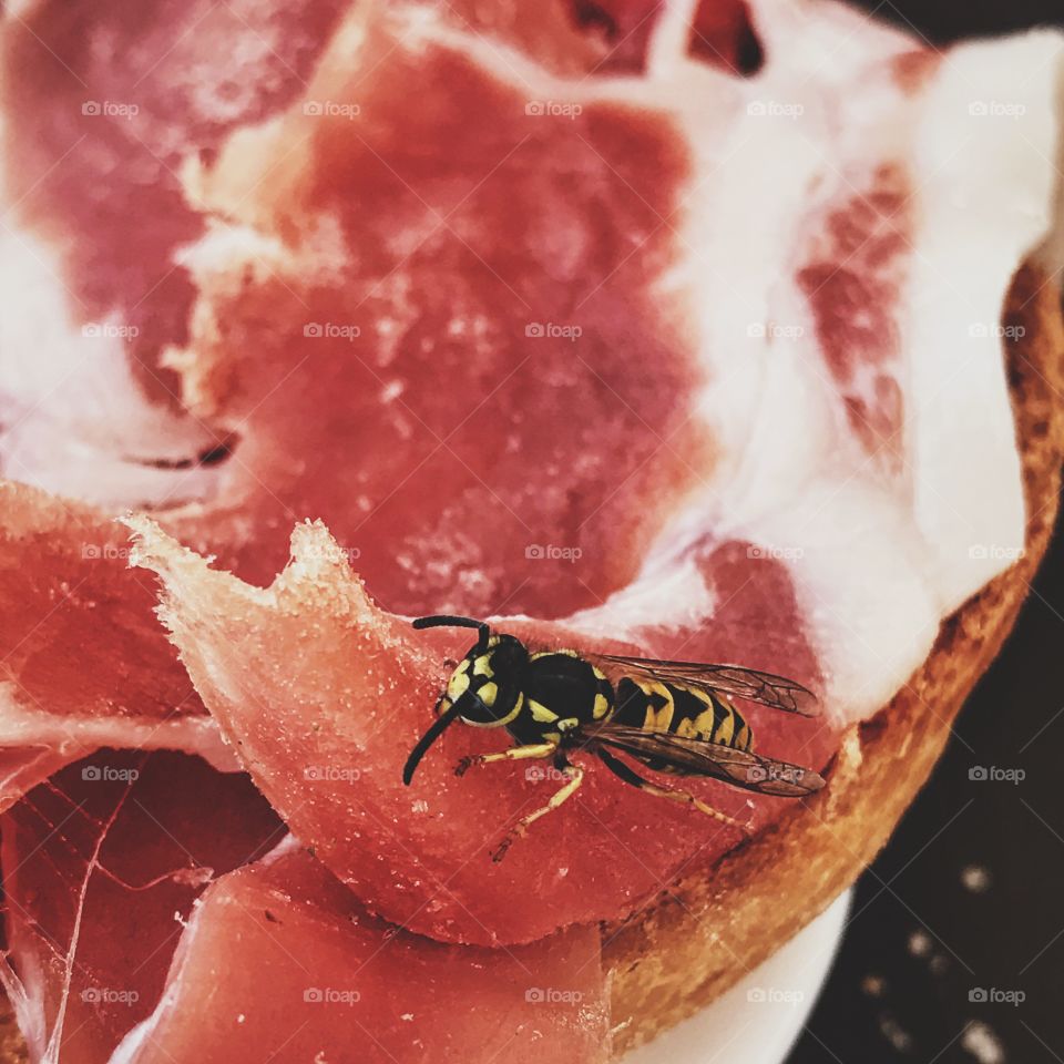 Bee & the sandwich 