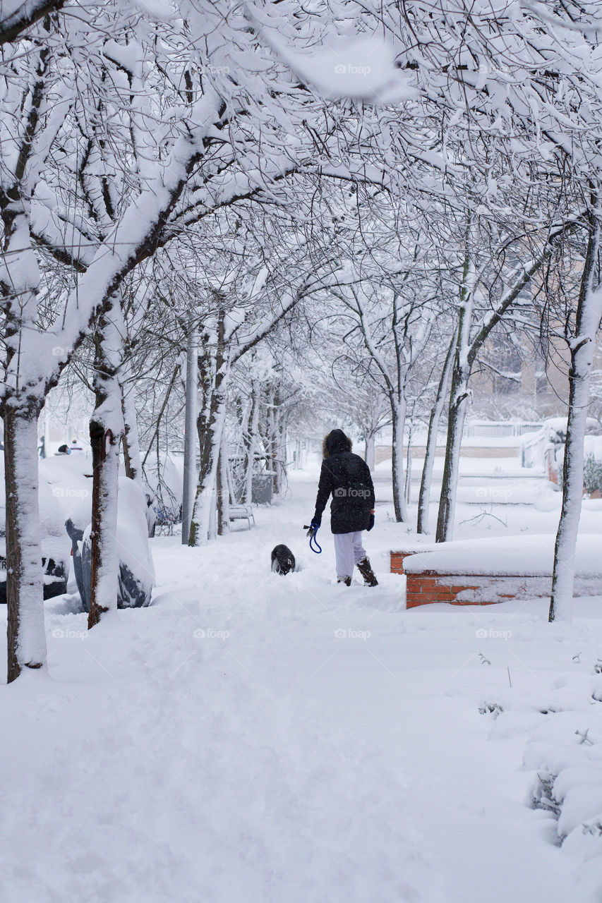 Person walking it’s dog on the snow