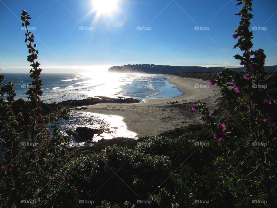 beach ocean new zealand by wme