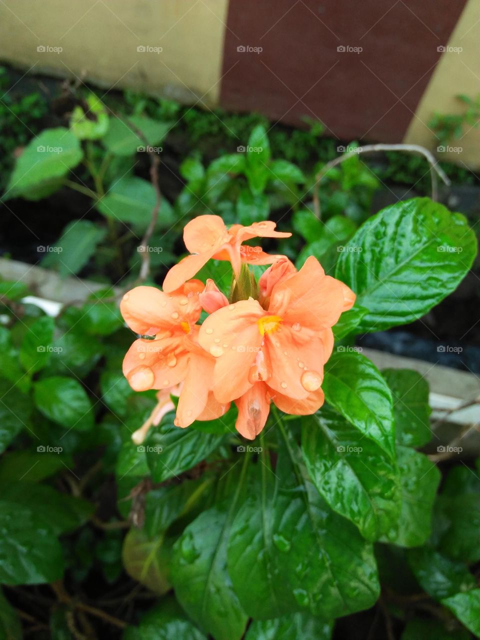 Best of 2021 : Nature