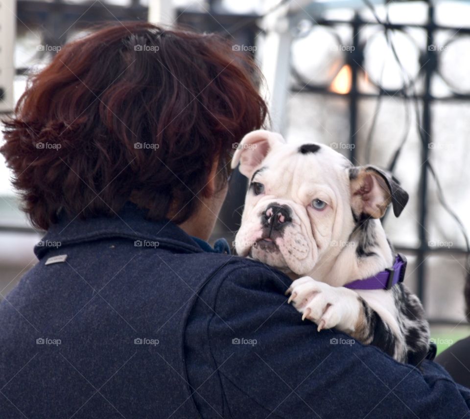 Spring Walk with Your Dog