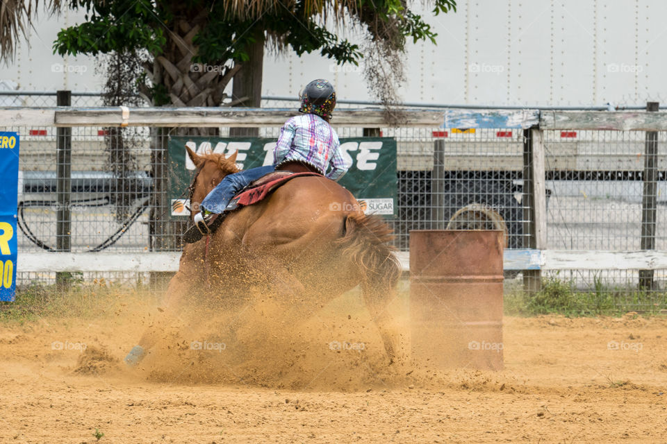 Girl racing her horse around the barrels 
