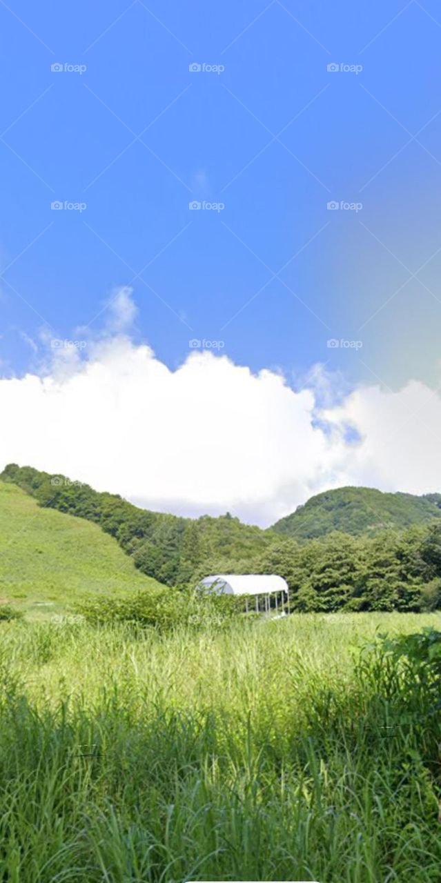 Trùng Trùng điệp điêp.