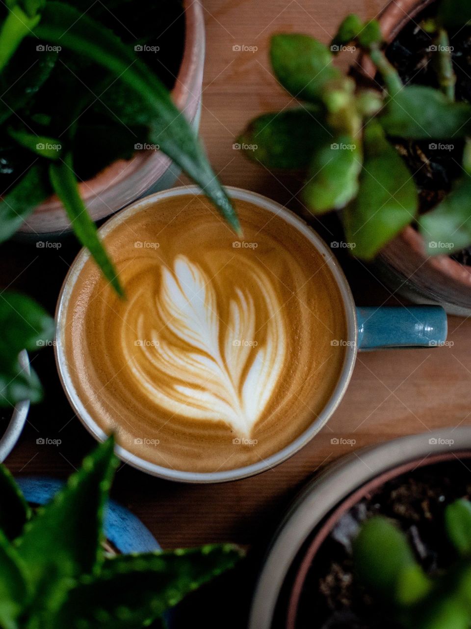 Coffe in the morning