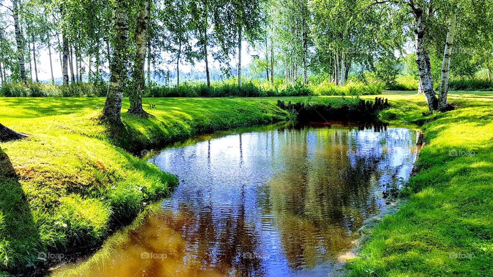 a little bit of summer