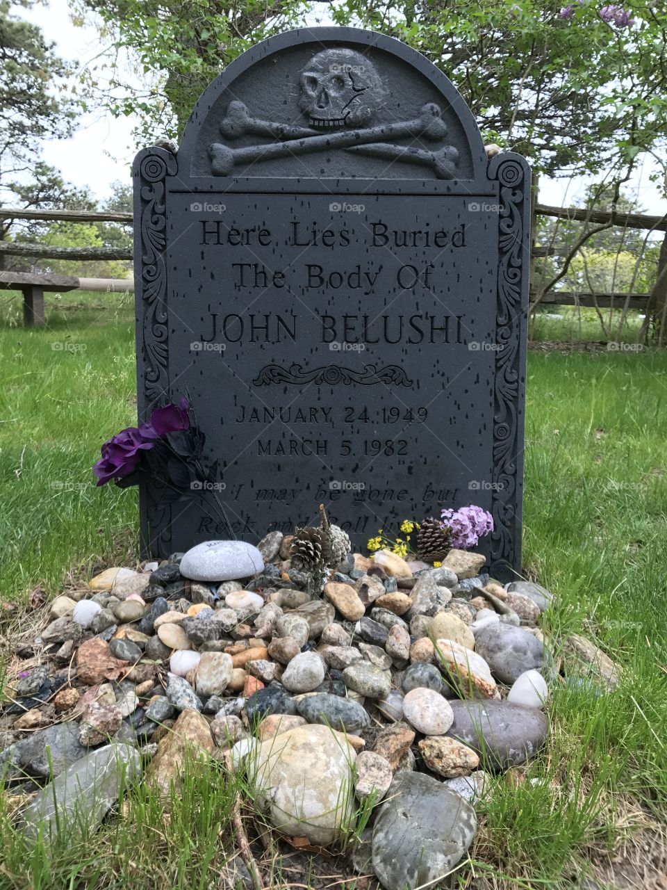 Rip John Belushi 