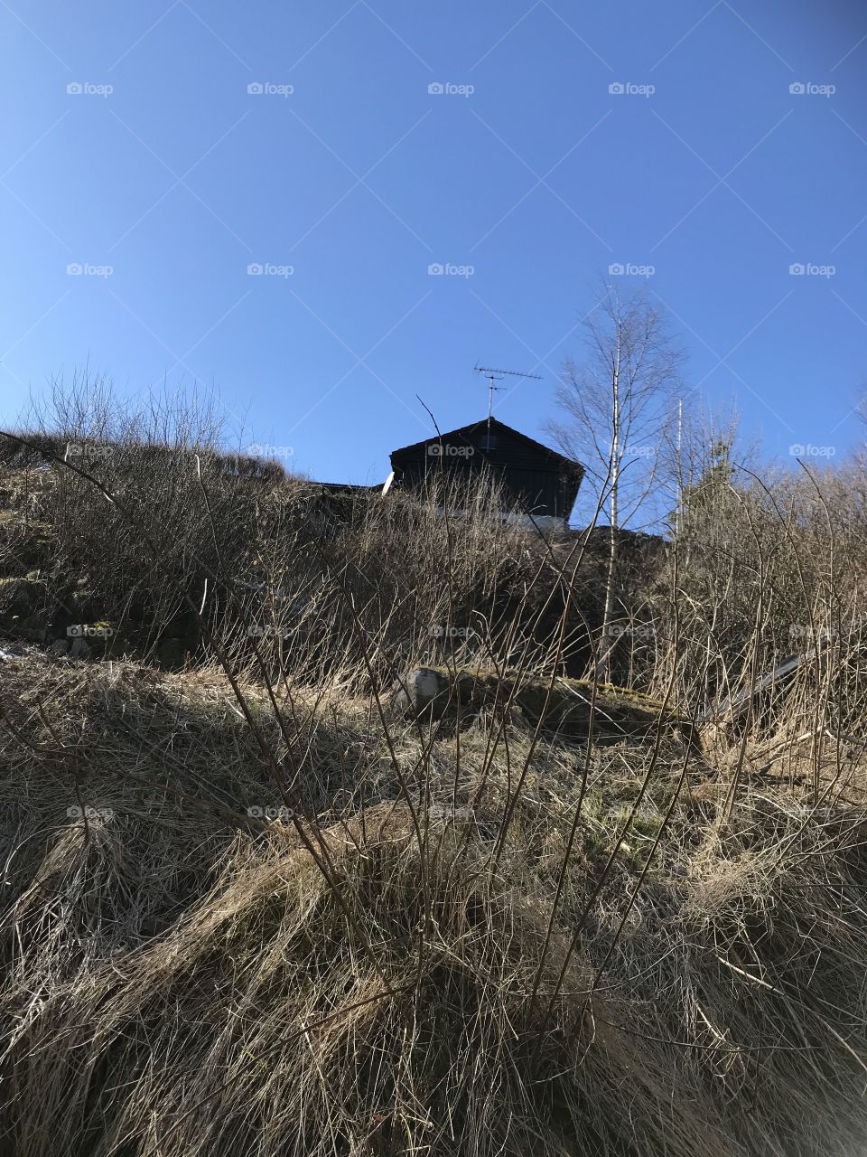 A house is peaking up at the top of the hill. The skies are totally blue, and the sun is shining. The ground is still frozen after the winter.