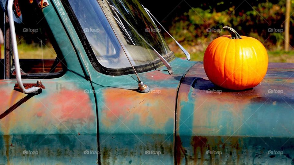 PUMPKIN truck for local farm PUMPKIN patch during autumn fall