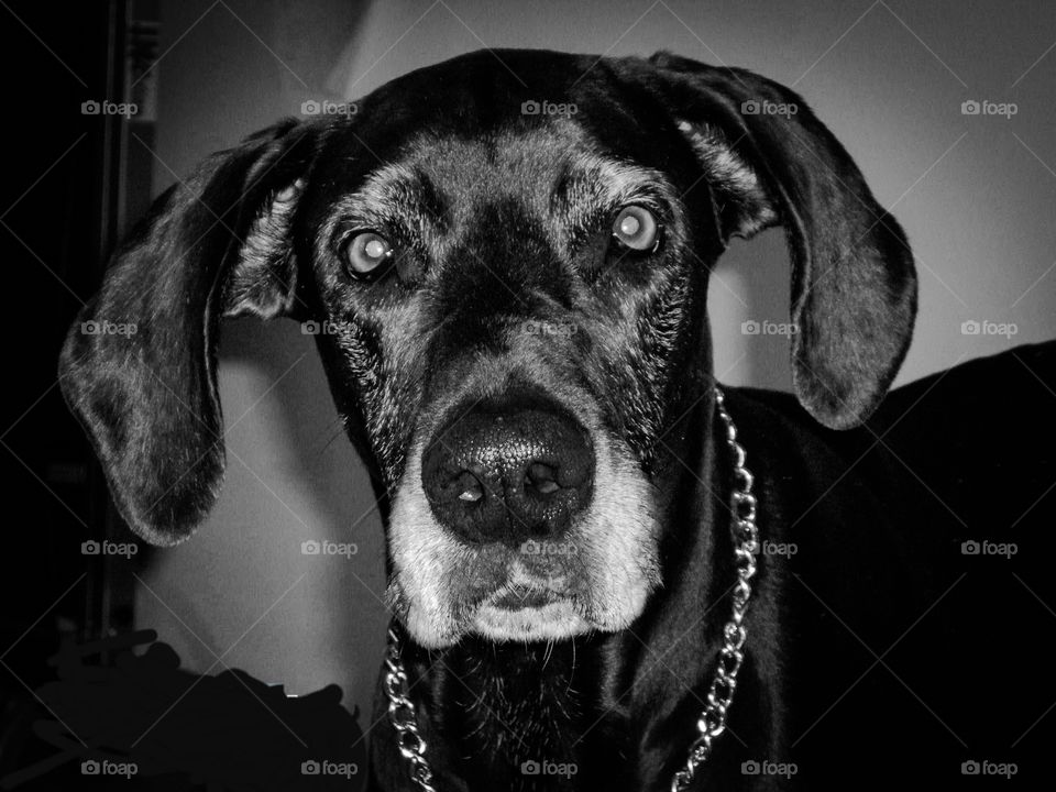 Lady at 12 years old