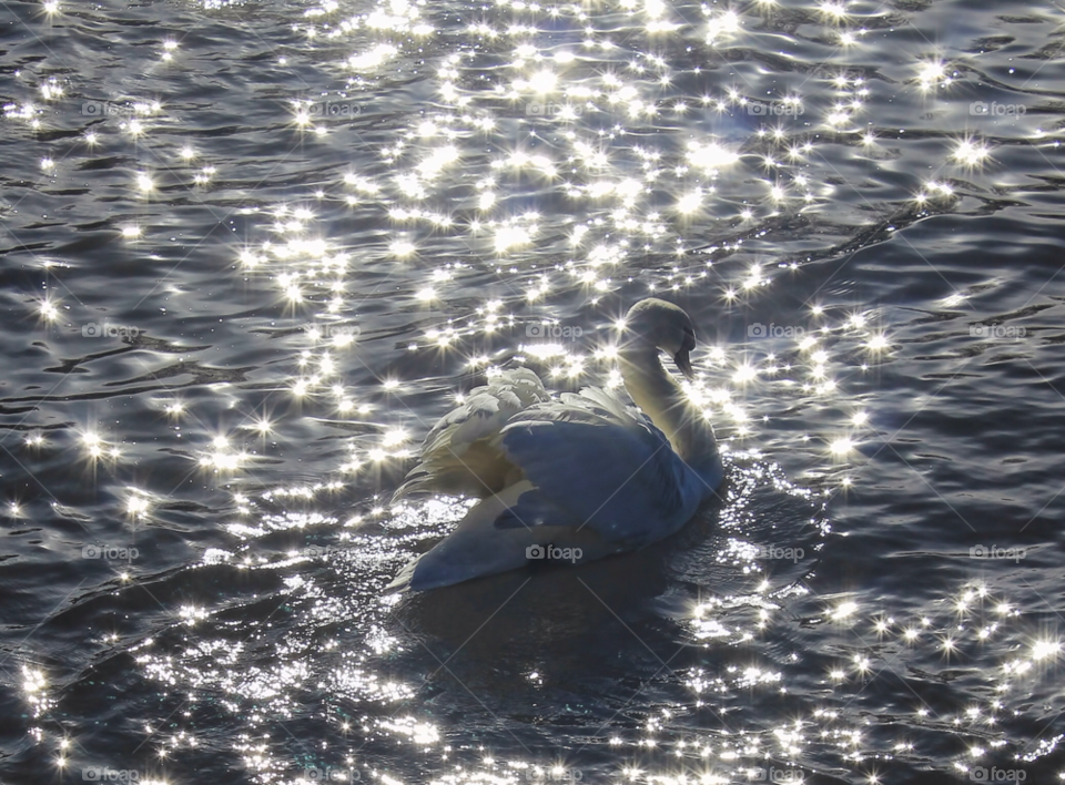 worcestershire uk the swan on by chris7ben