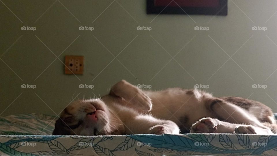 sweet dreams about her girlfriend.