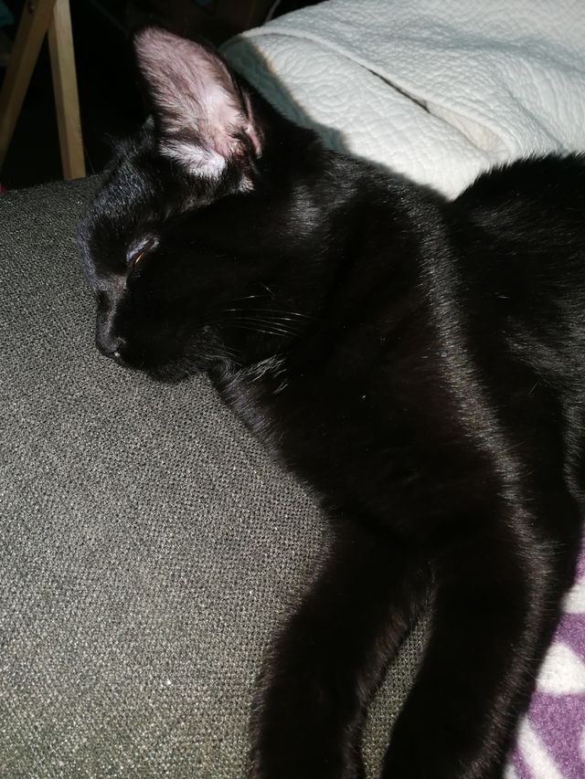 To tired