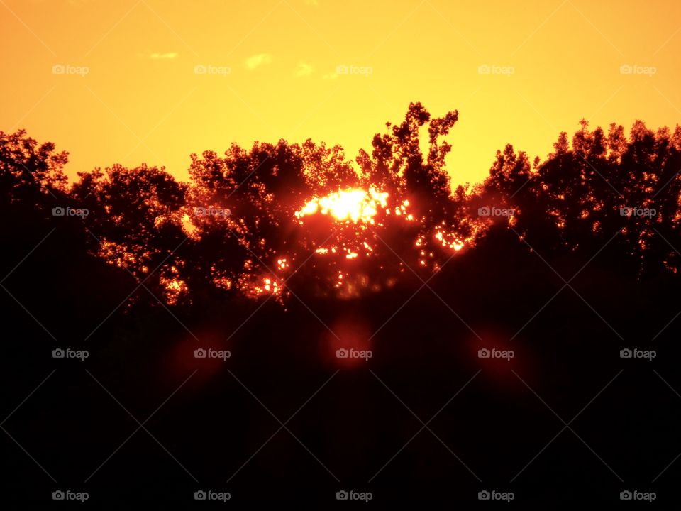 Sunset behind the trees