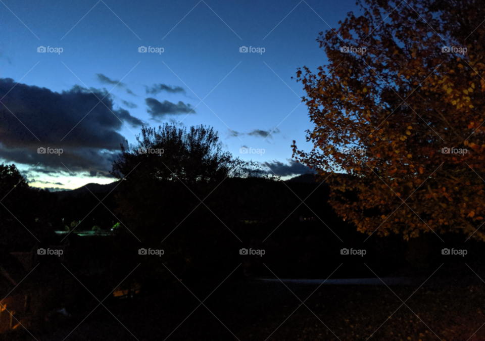 North Carolina First Light