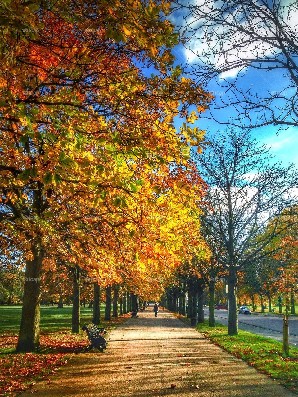 united kingdom park fall autumn by lateproject