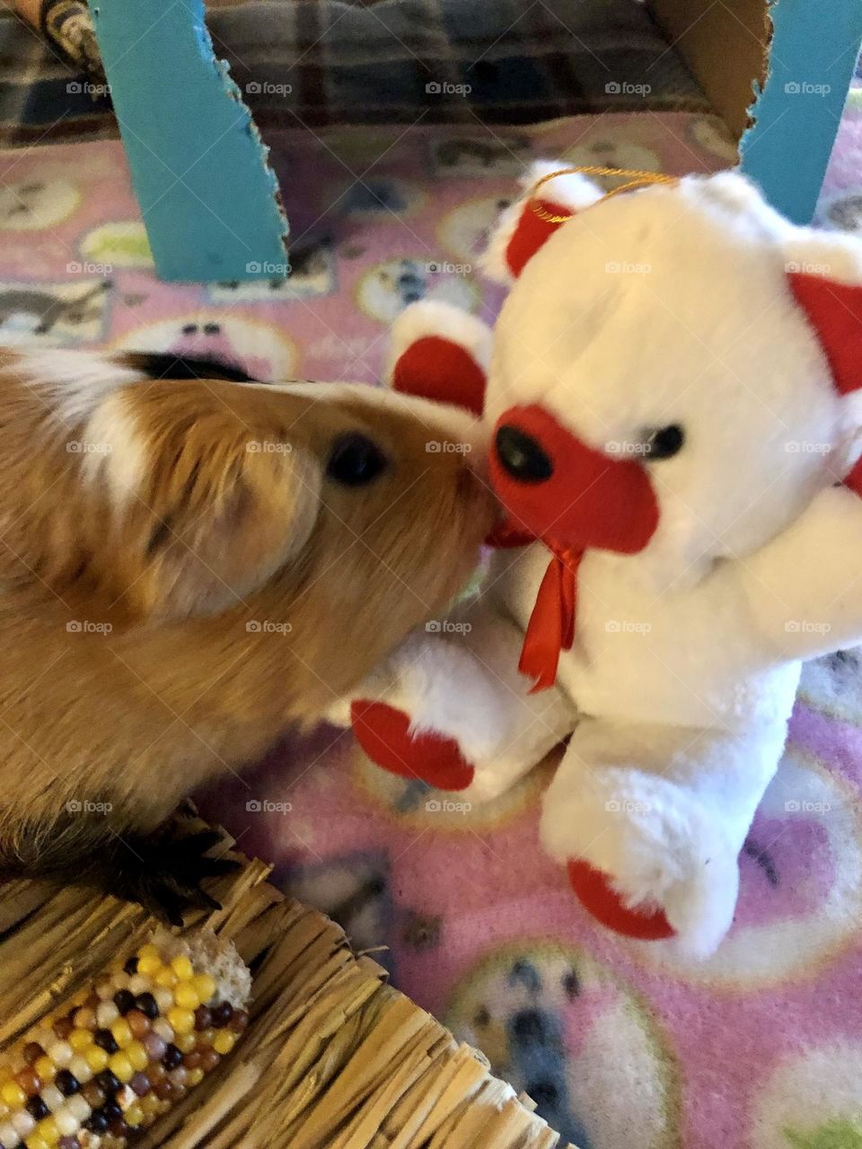 Danny kidding his toy bear ❤️ 🐻