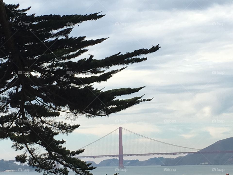 Distant Golden Gate Bridge