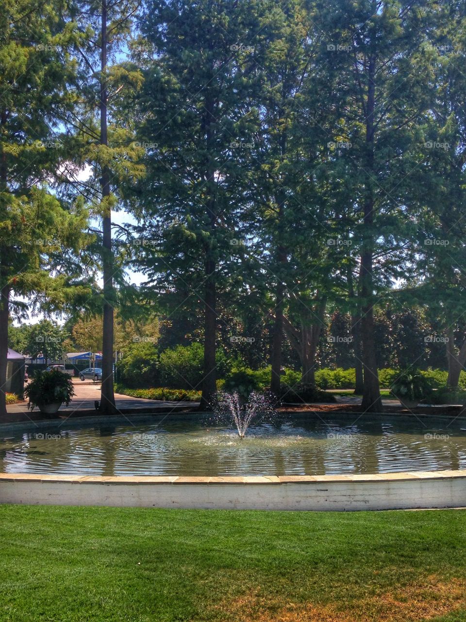 Fountain of peace. Water fountain at a nature park