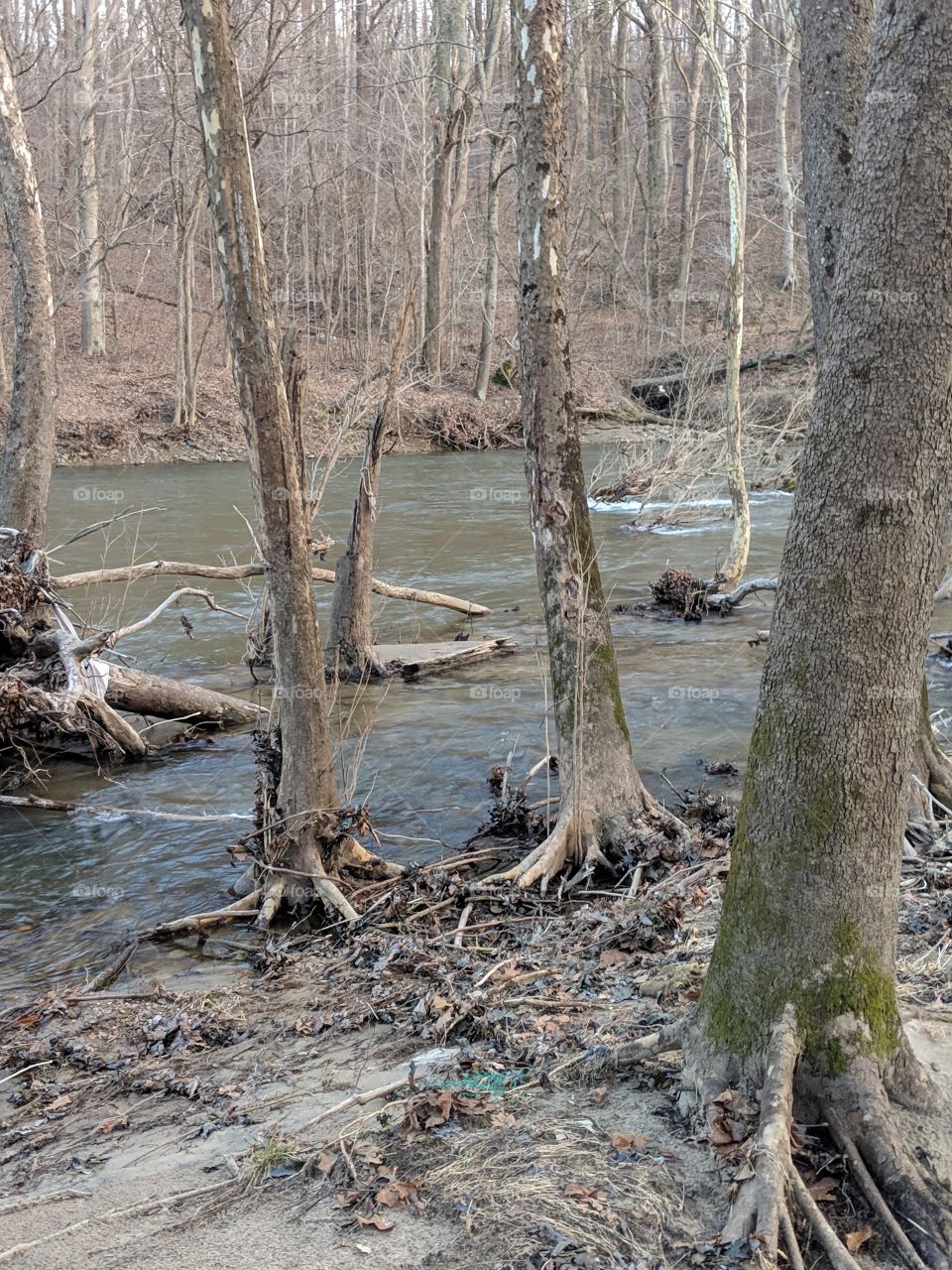 calm after the storm