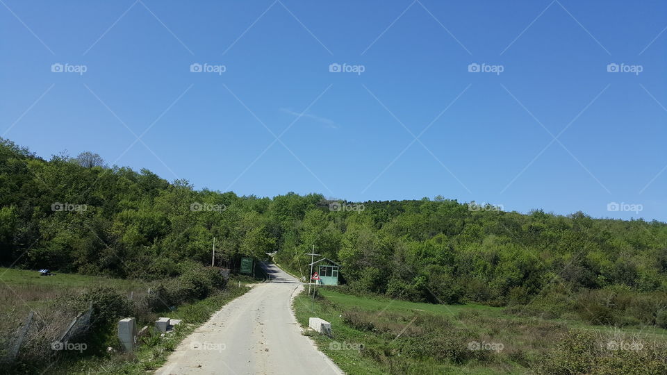Forest Sky Kepi Rodonit Albania
