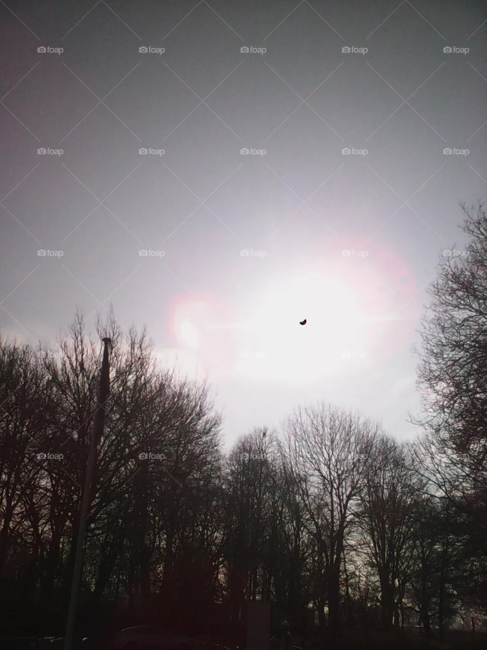 eclipses