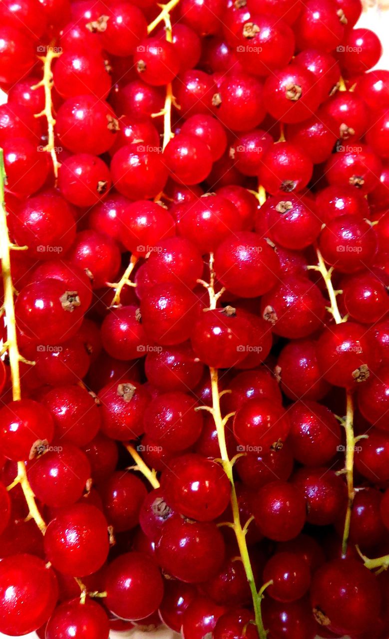 colorful berries