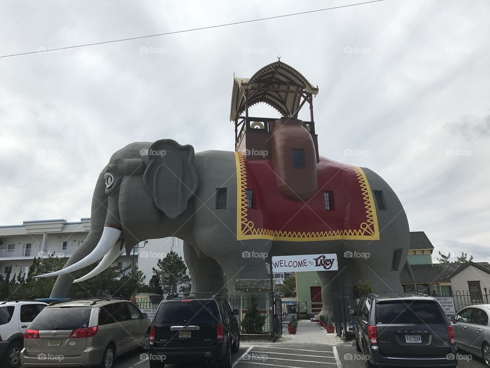 Lucy the Elephant Margate NJ