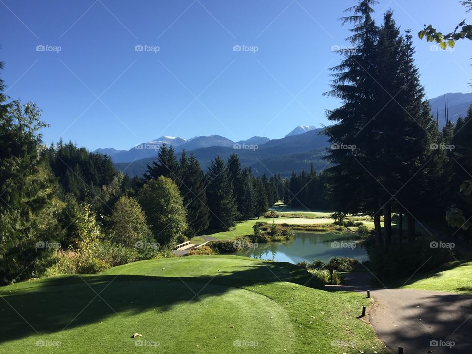Gold course in Whistler 
