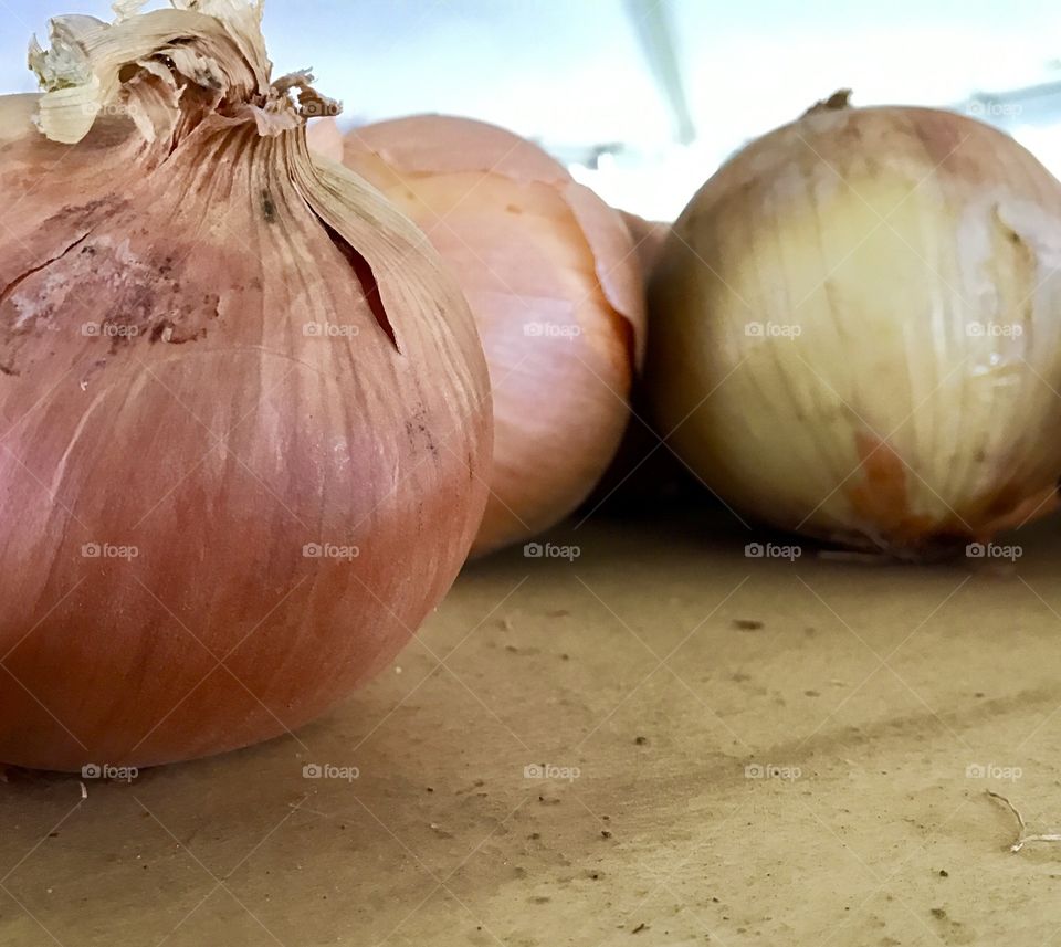 Onions Close-Up