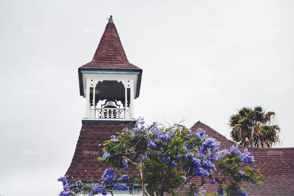 san Diego 
