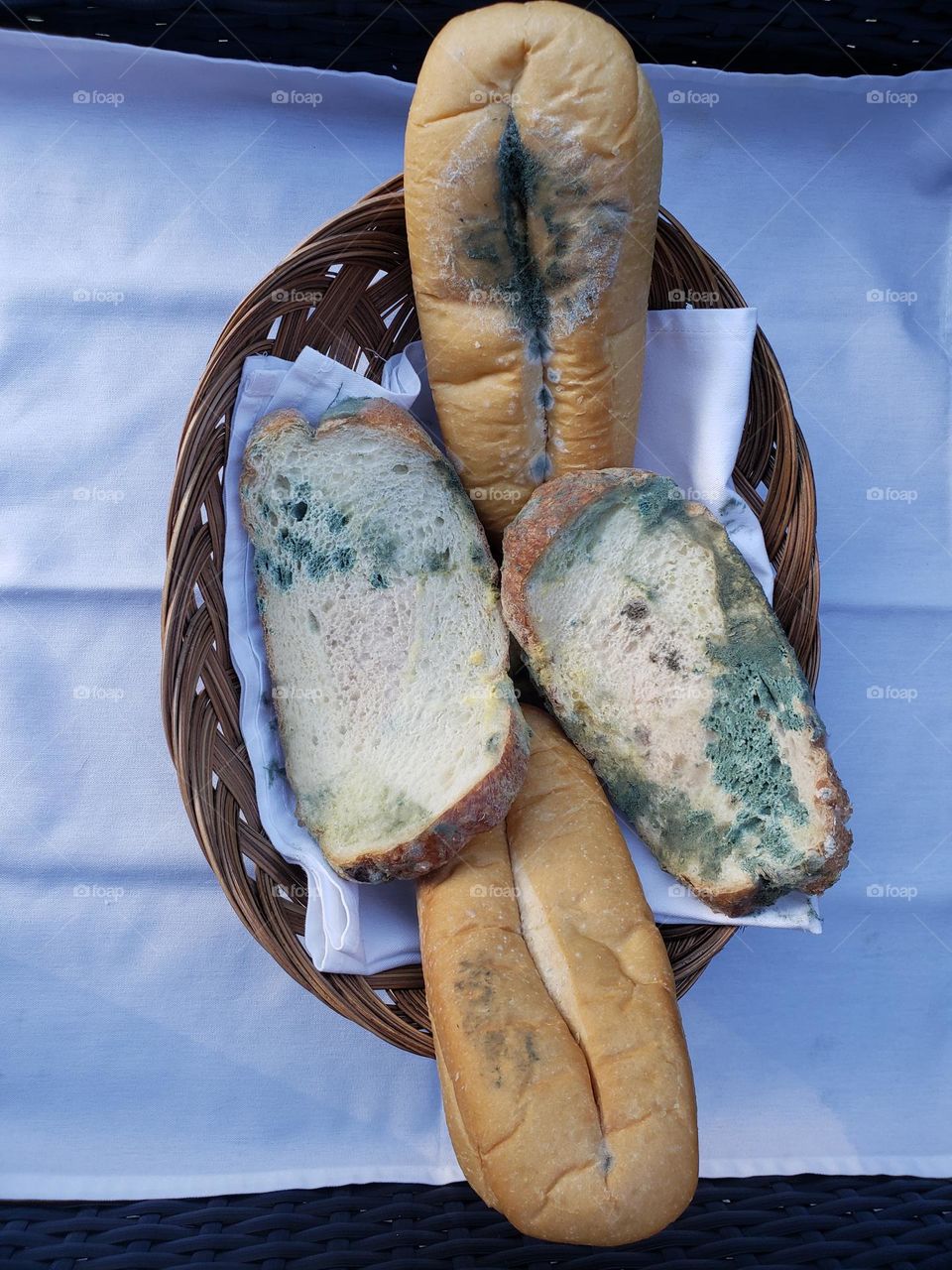 fungus in my bread  ,well...someone a descover penilicilin with  some piece of bread with fungus ...😁