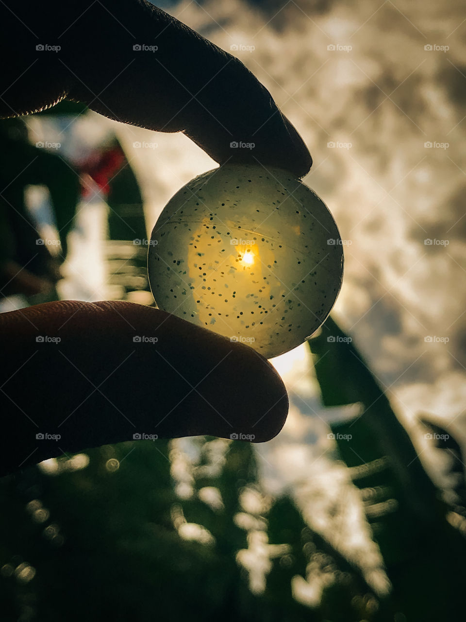 I took this photo in my backyard, enjoying the sun's rays and a silicon ball!  and also simple editing.