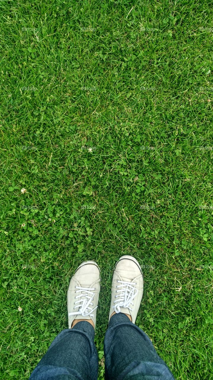 Standing on the grass