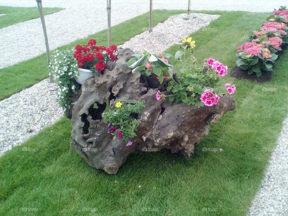 Old stump decorated with flowers