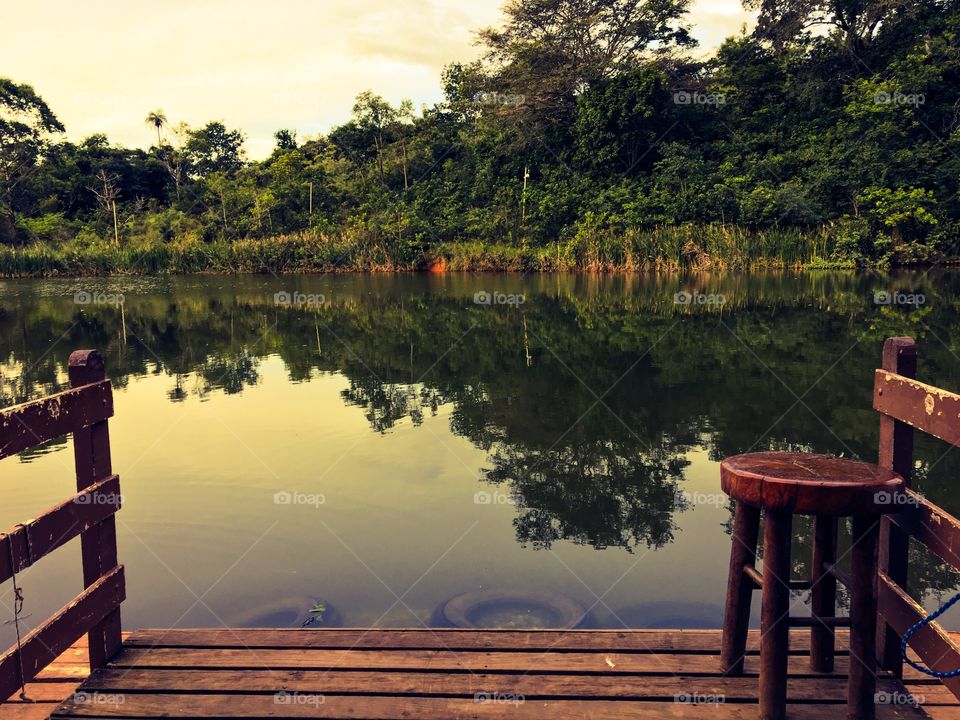 A small bench on the edge of a calm river