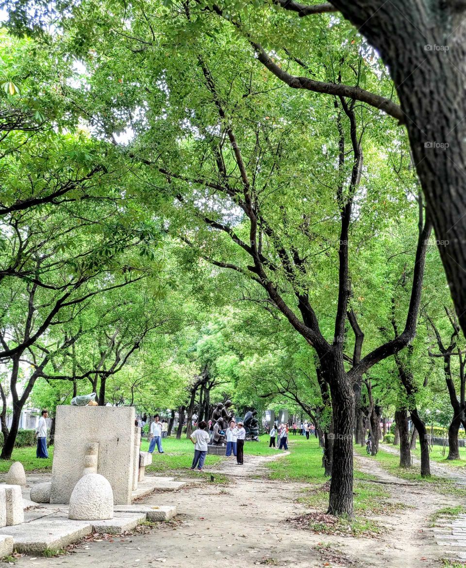 your local treasures: park surrounding the National Taiwan Museum of Fine Arts(also called fine art park ), has a Camphor tree forest, lush and beautiful,
attractive many sport people every morning.(also show some sculpture art works)