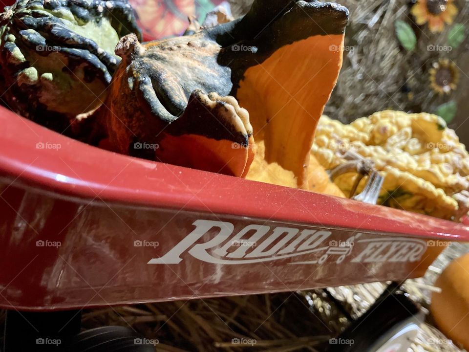 Gourds and pumpkins in a Radio Flyer